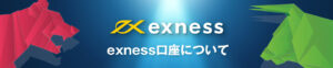 Exnessの口座タイプは5つ 口座タイプ別の特徴を大公開！