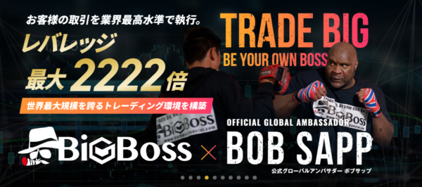 BigBossとは